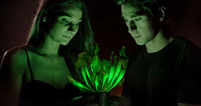 World's First Genetically-Engineered Bioluminescent House Plant
