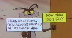 When Coyote Caught the Road Runner