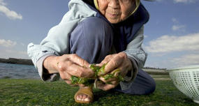 Okinawa Has Most People over 100 Years Old