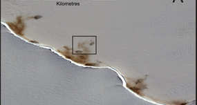 Penguin Poop Visible from Space Helps Locate New Colonies