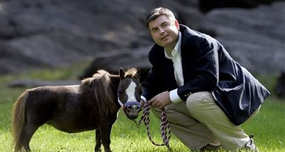 Thumbelina: Smallest Horse in the World Is Size of a Dog