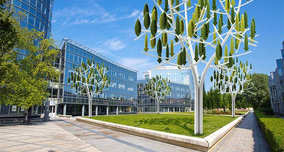 Wind Turbine Trees: Clean Energy for Urban Areas