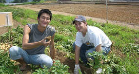 WWOOF: International Volunteer Program Allowing You to Travel World, Food/Housing Covered
