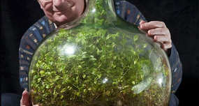 65-Year-Old Bottled Plant