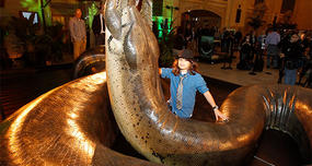 Titanoboa