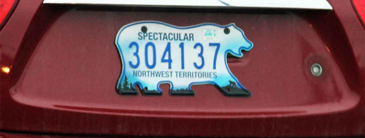 Polar Bear License Plates