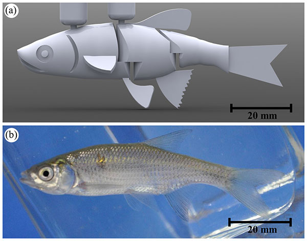 April: Robot fish, News and features