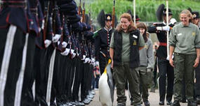 Sir Nils Olav
