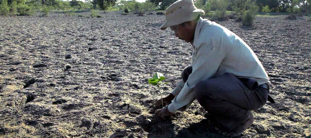 Jadav Payeng