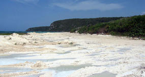 In 2008, 500 truckloads of sand were stolen from a beach in Jamaica