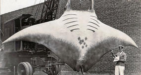 20-Ft-Wide Manta Ray Caught in 1933 Is One of the Largest Ever