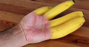 A single banana is called a finger and a bunch of bananas is called a hand.