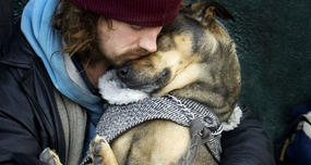 Dogs Can Detect Sadness, Try to Make Owners Happy by Cuddling