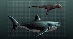 Megalodon